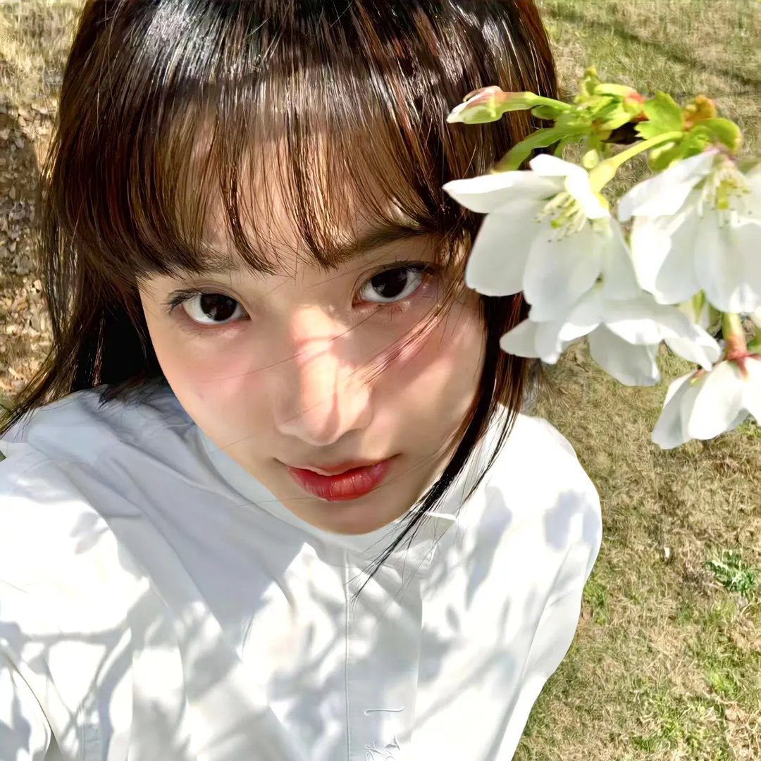 追魂夜合花